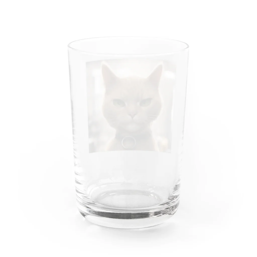 TAIYO 猫好きのビックフォト茶虎模様猫 Water Glass :back