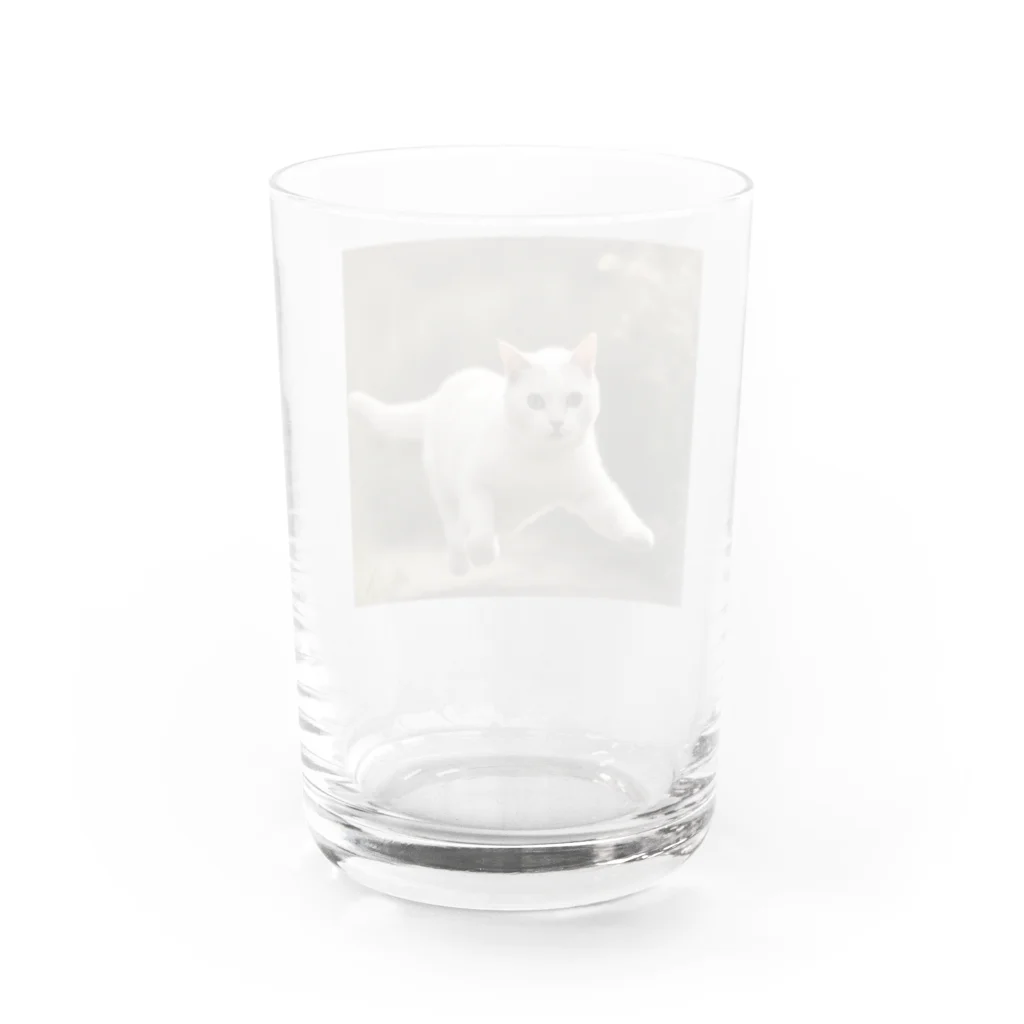 TAIYO 猫好きのフォトプリント美形白猫 Water Glass :back