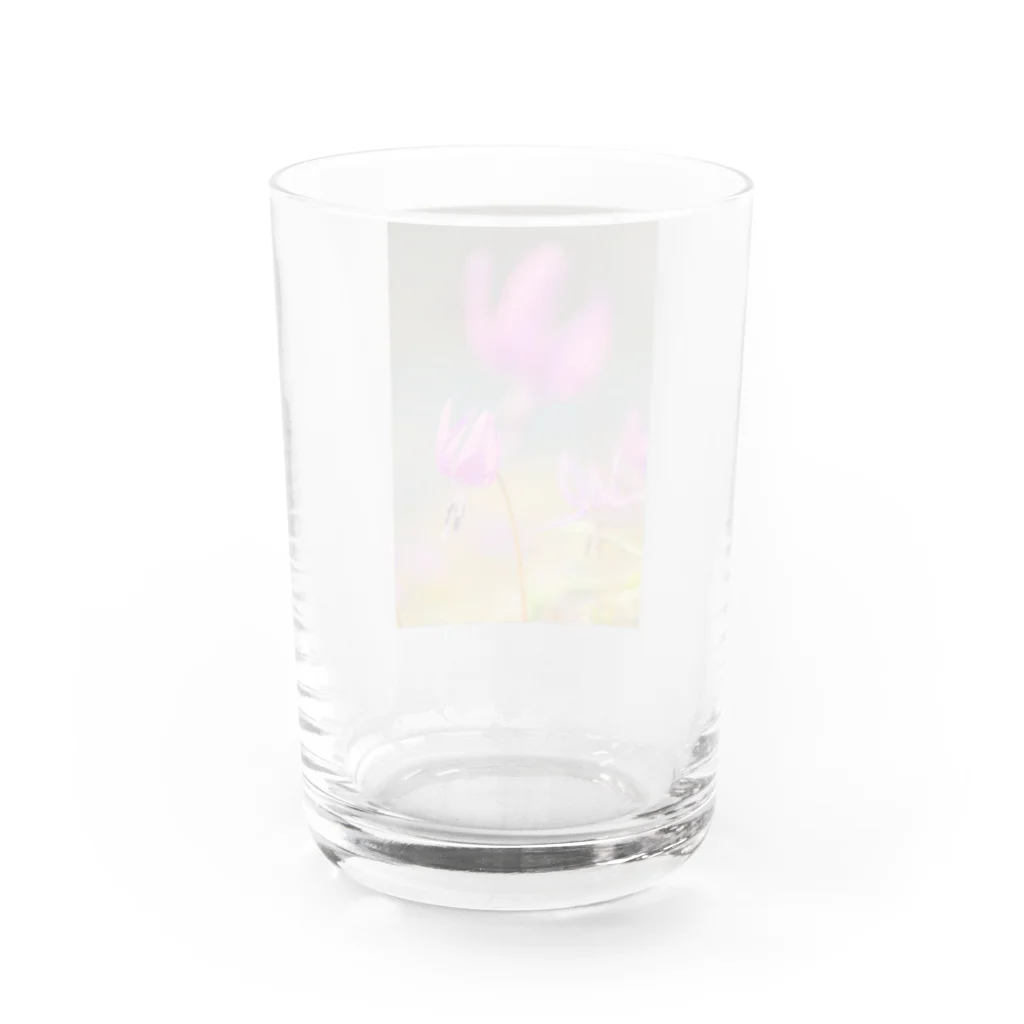 guchy-kのカタクリ可憐 Water Glass :back