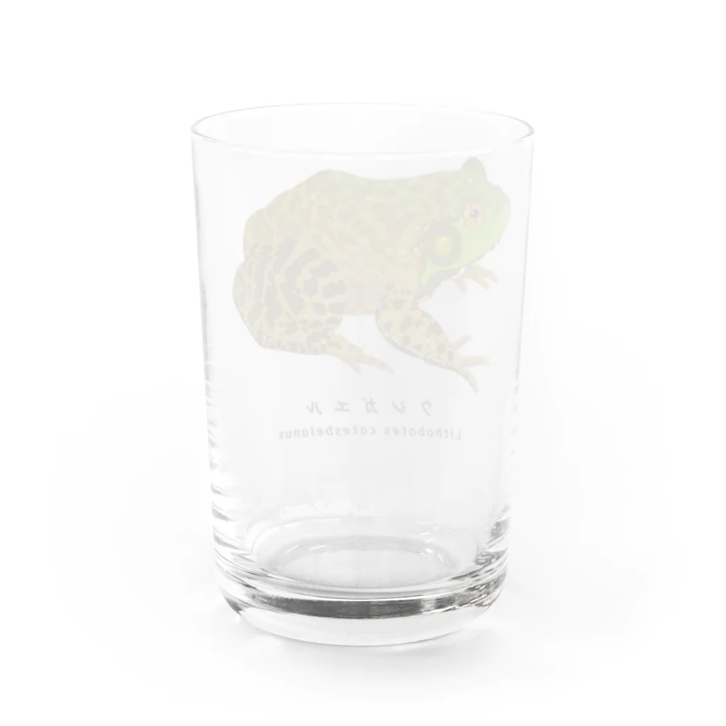 さちこの生物雑貨のウシガエル Water Glass :back