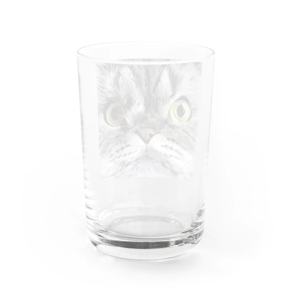 ユカイナミライ舎yukainamirai-miraixxxのRooey Water Glass :back