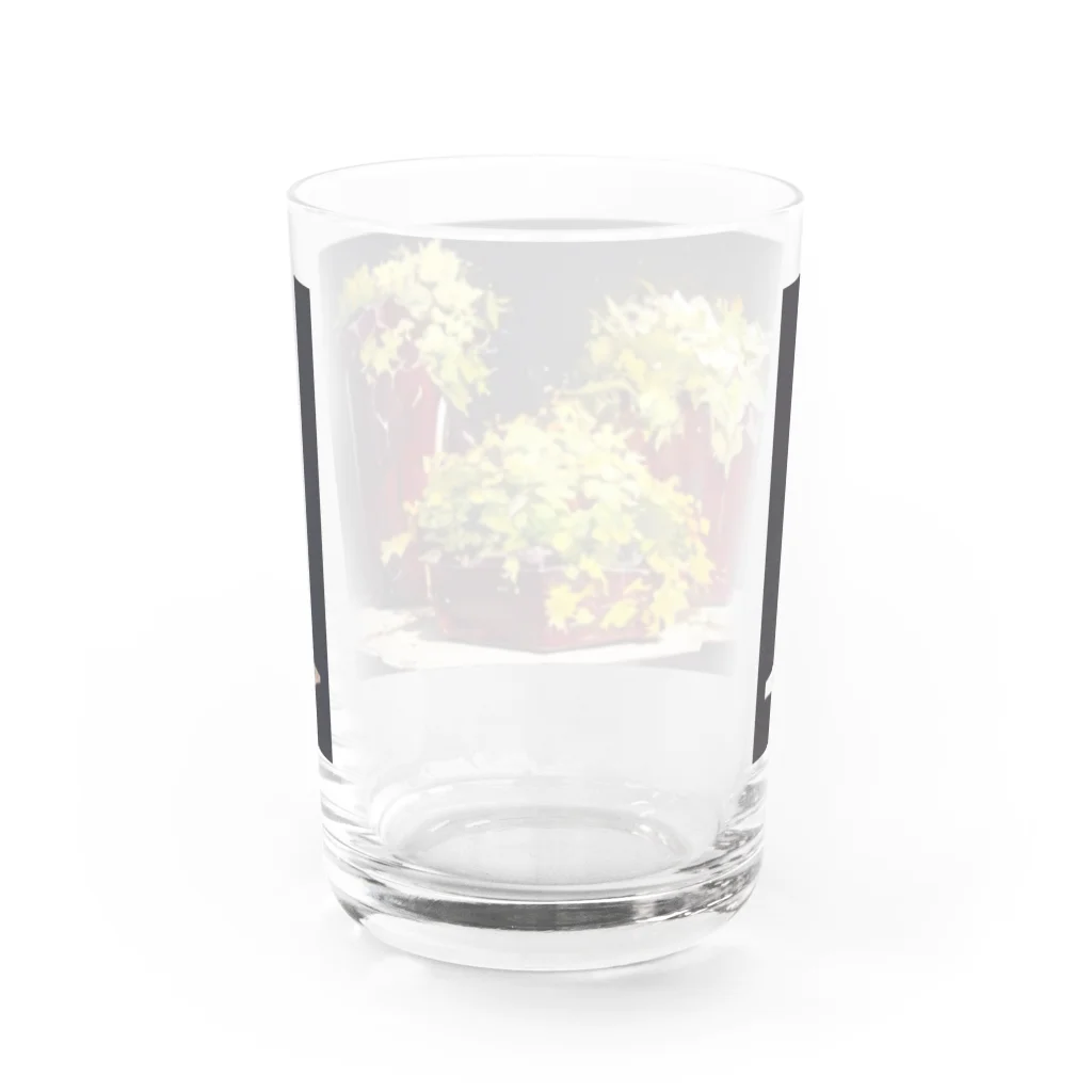 ボンブ映像社の無添加ジャンクフード Water Glass :back