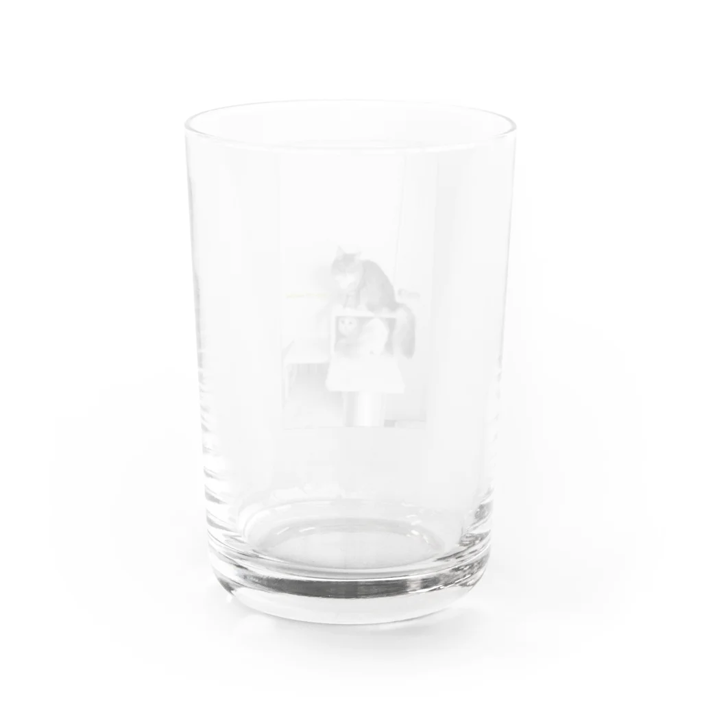 妖怪 水姫城-Yokai.Mizukijyo-ฅ^ơωơ^ฅ♡の#ネコヒメペット 101ฅ^ơωơ^ฅ♡ Water Glass :back