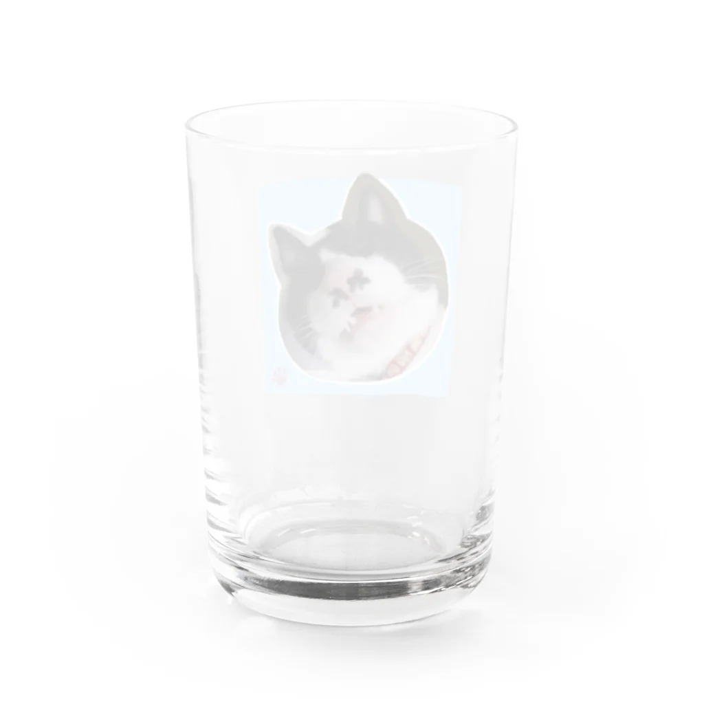 木ノ下商店の眠りこけた猫。2 Water Glass :back