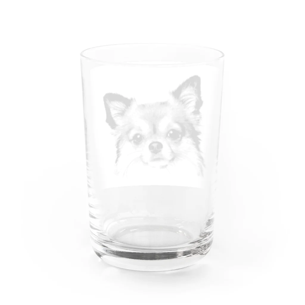 takepanのチワワシリーズ Water Glass :back