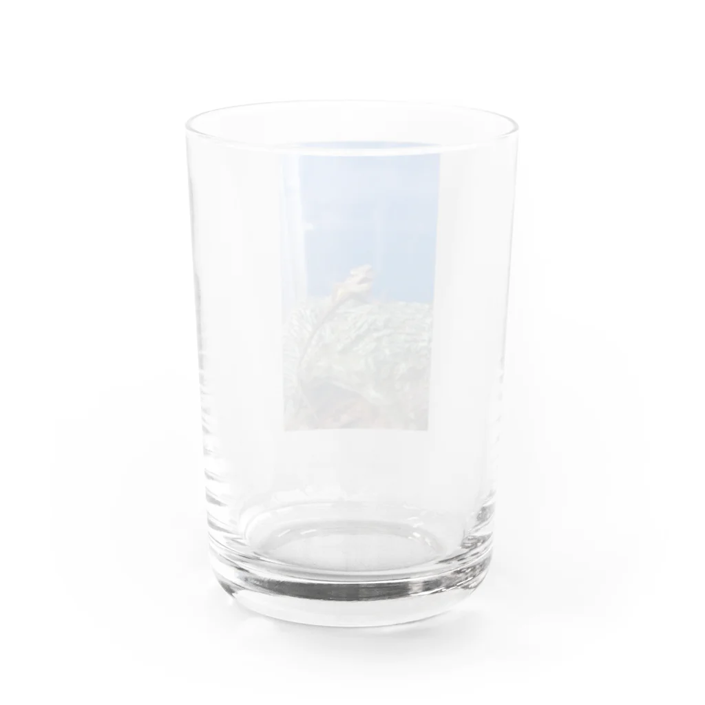 Makoto_Kawano Designの笑うトカゲ Water Glass :back