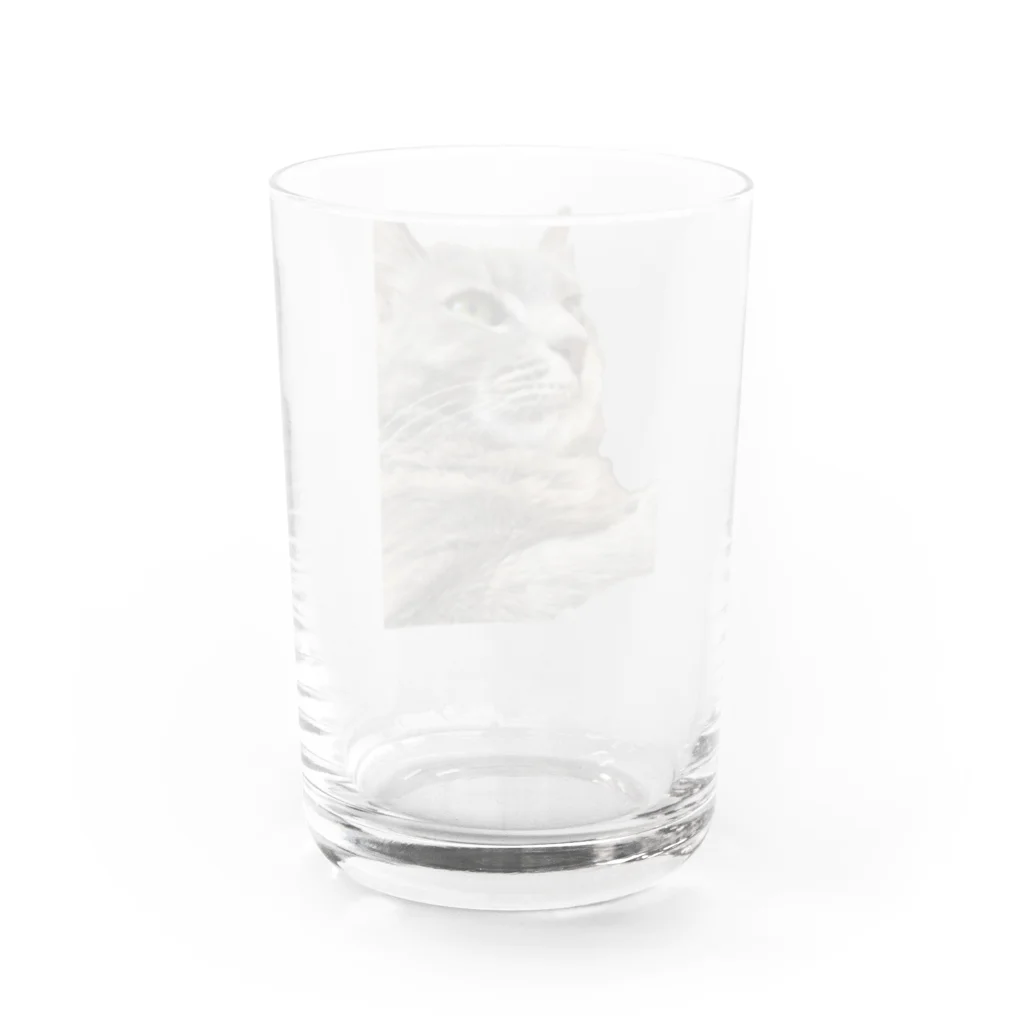 グレージュ猫ロッタン🐈‍⬛の緊張ロッタン Water Glass :back