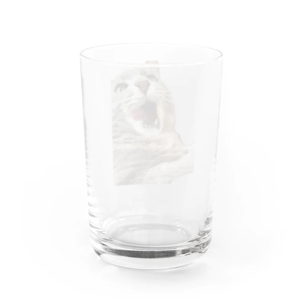 グレージュ猫ロッタン🐈‍⬛のあくびロッタン Water Glass :back