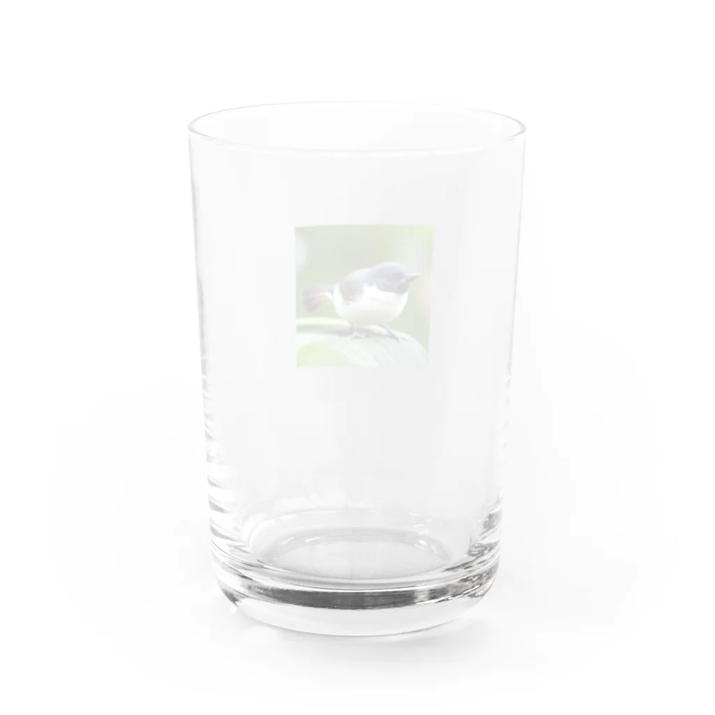 フリーダムのどこかを見つめている小鳥 Water Glass :back