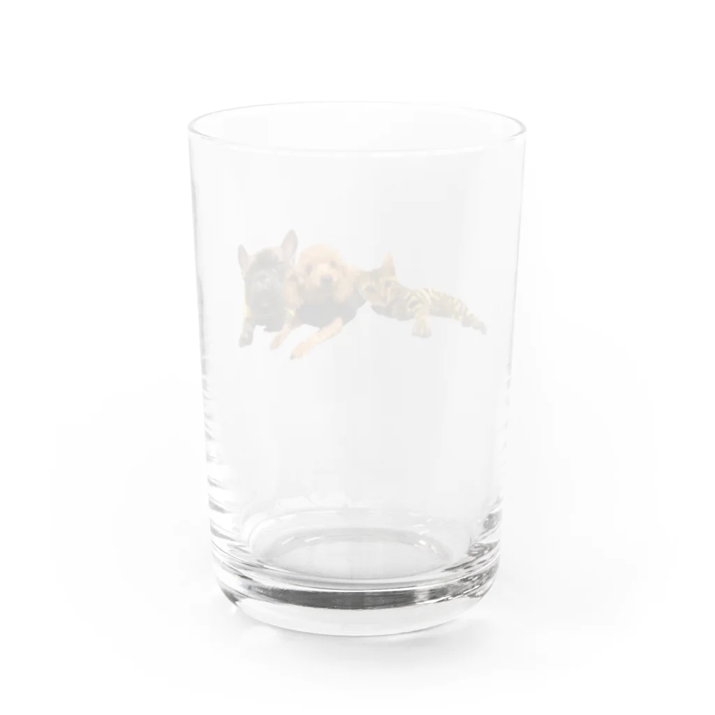 Ru.xxxのトイプードル＆フレンチブルドッグ＆ベンガル Water Glass :back