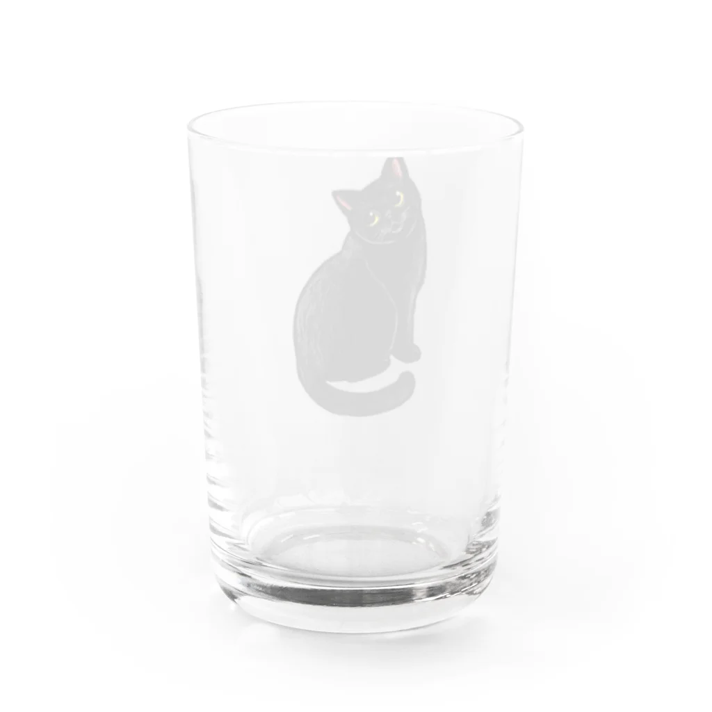 もっち（mocchi）の黒猫ちゃん Water Glass :back