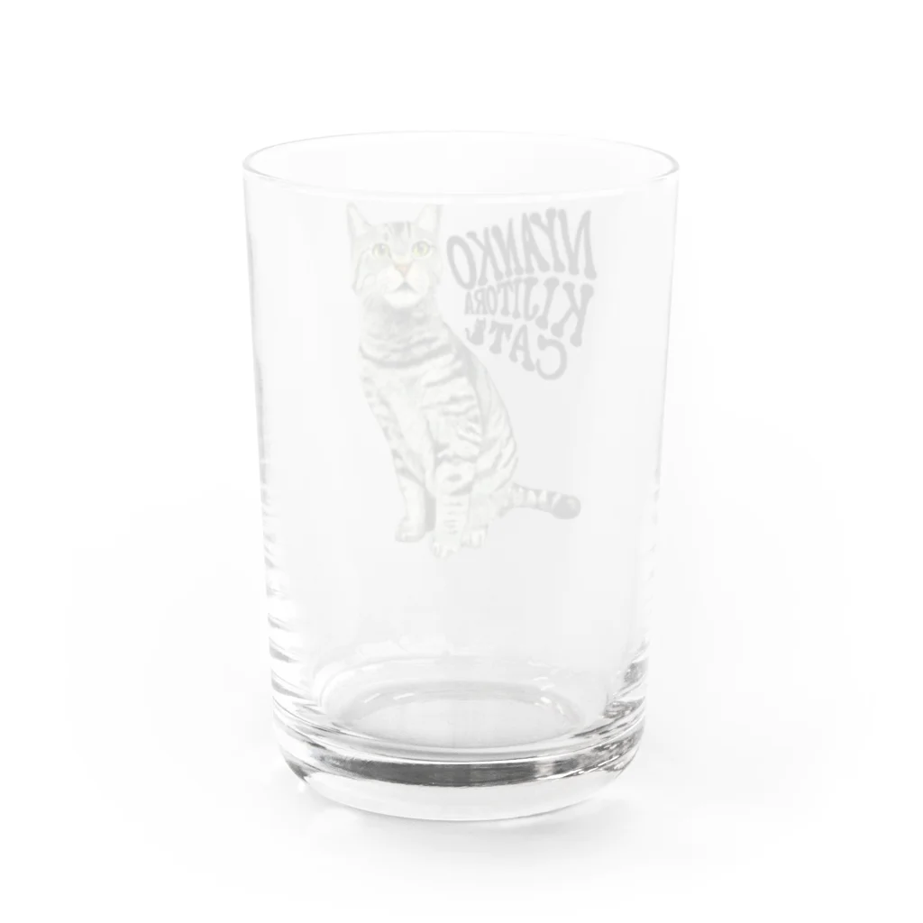 もっち（mocchi）のキジトラ猫ちゃん Water Glass :back