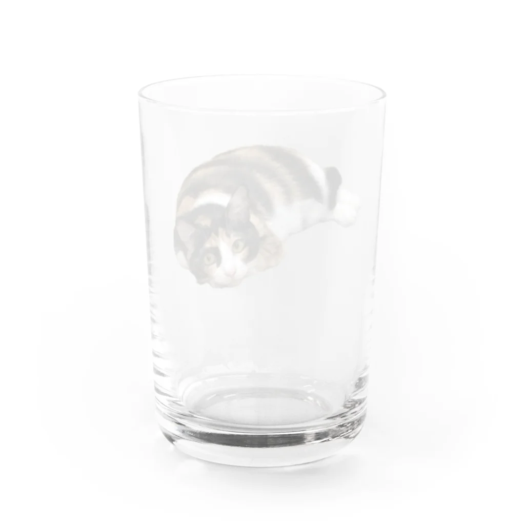 ロムー公式二次創作物販売所の大人気のロムザラシシリーズ Water Glass :back