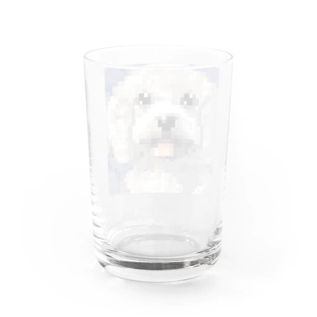 SHOP かわいいやのマルチーズ（ドット） Water Glass :back