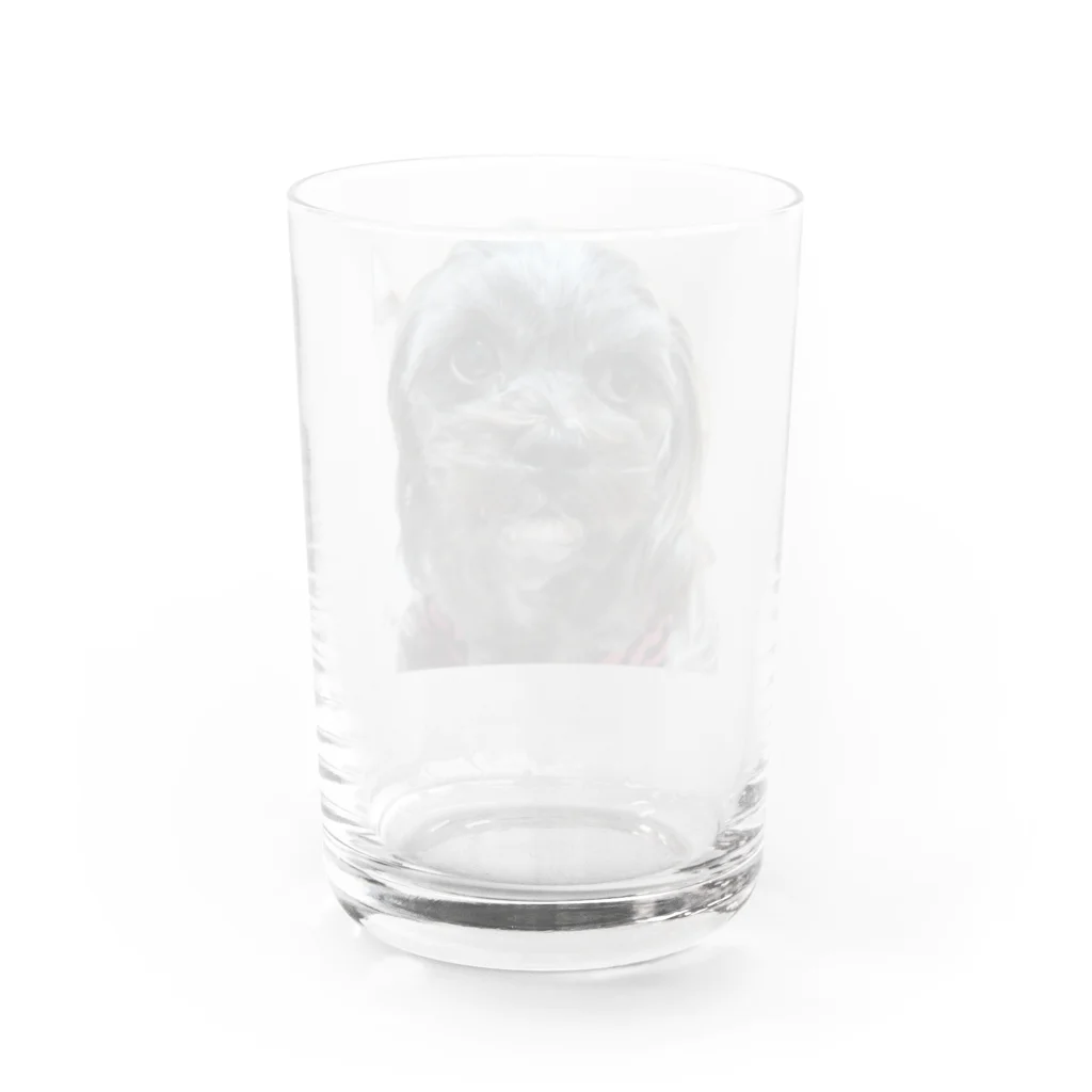 みたらし団子のふたたまちゃんの可愛いわんちゃん Water Glass :back