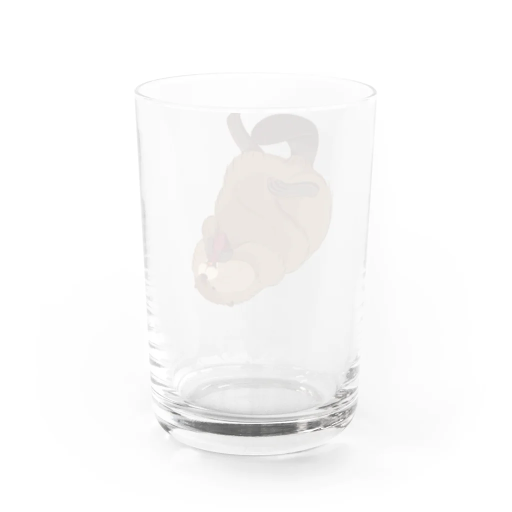 もちもちビーバーのごろごろビーバー Water Glass :back