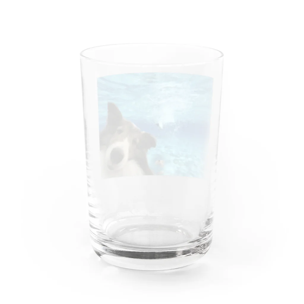 犬ロボット！のinurobotの犬in海 Water Glass :back