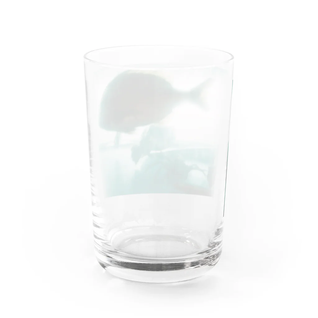 ニョキのあの道の途中でサカナになった Water Glass :back