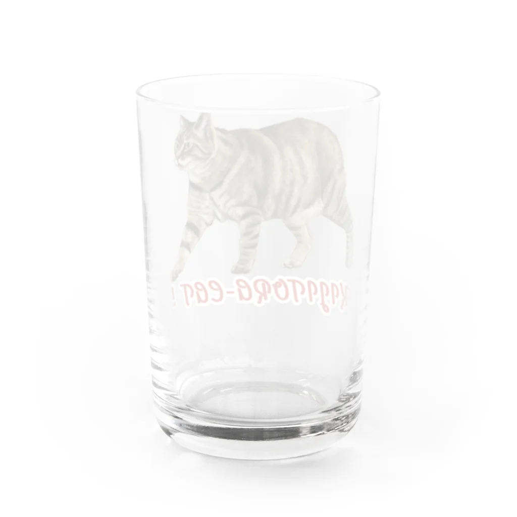 もっち（mocchi）のお散歩キジトラ猫ちゃん！ Water Glass :back