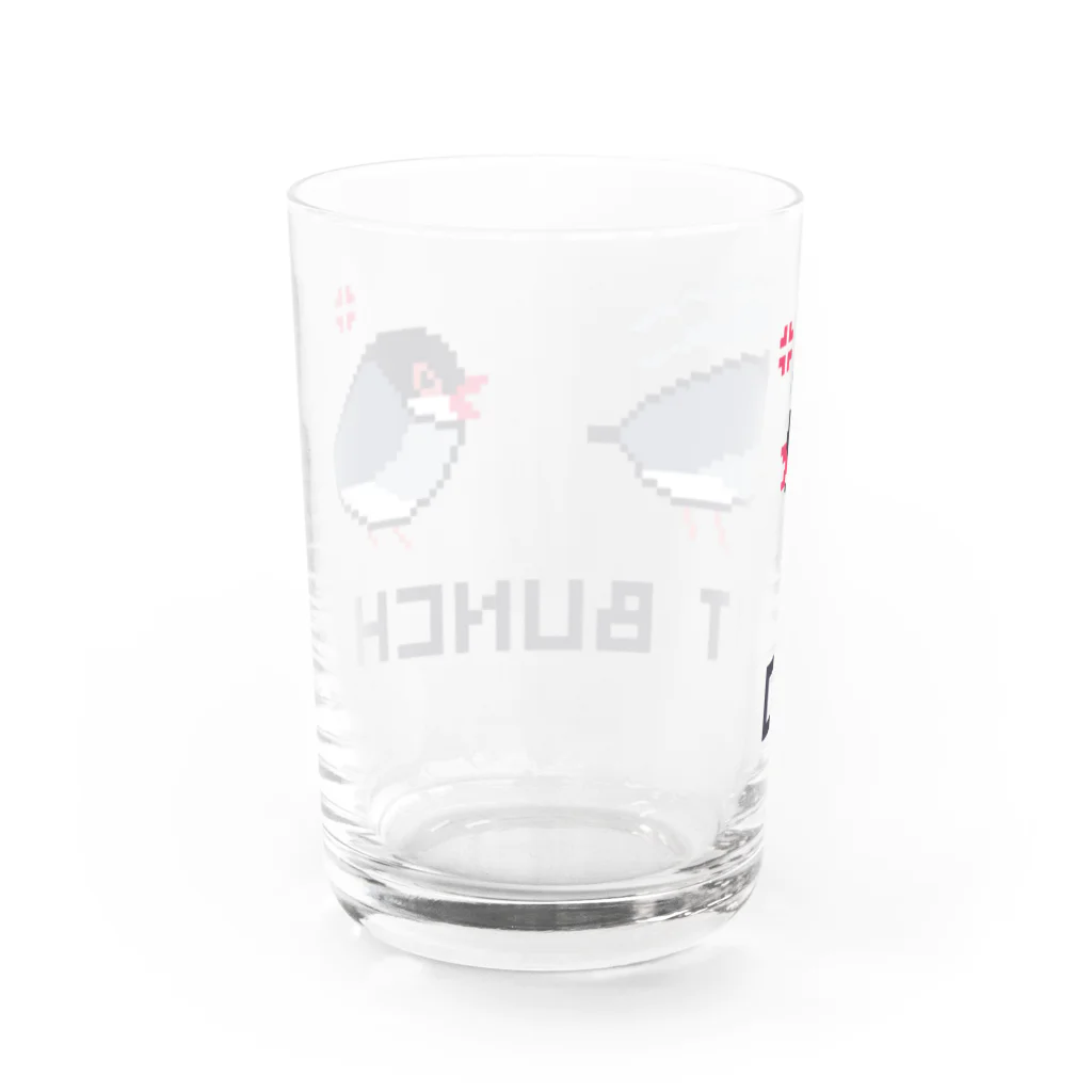 トモカピのドット文鳥（怒） Water Glass :back