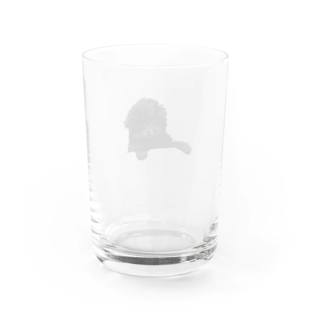 アビシニアコロブスのboss Water Glass :back