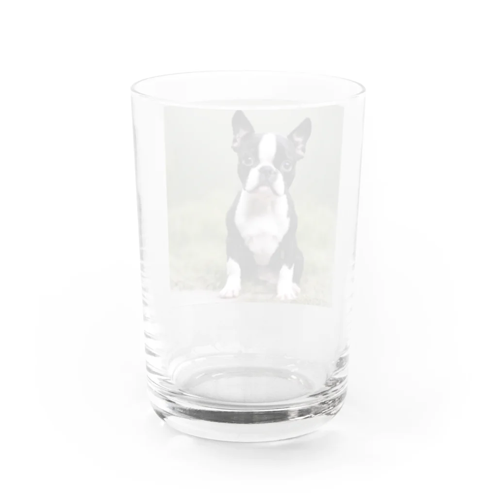 B-ossTonのキュートなボストンテリアのグッズ Water Glass :back