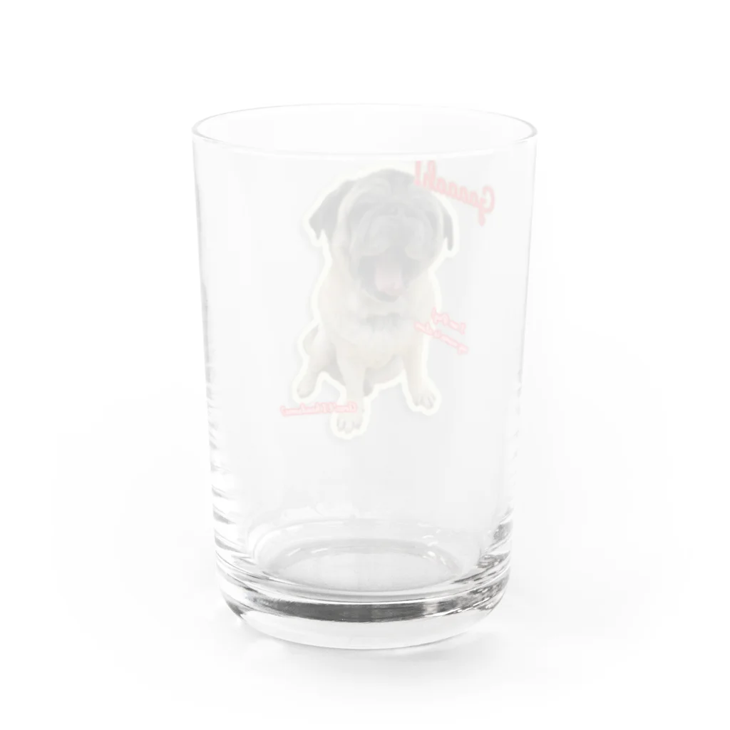 mimosaのI am Pug!　 Water Glass :back