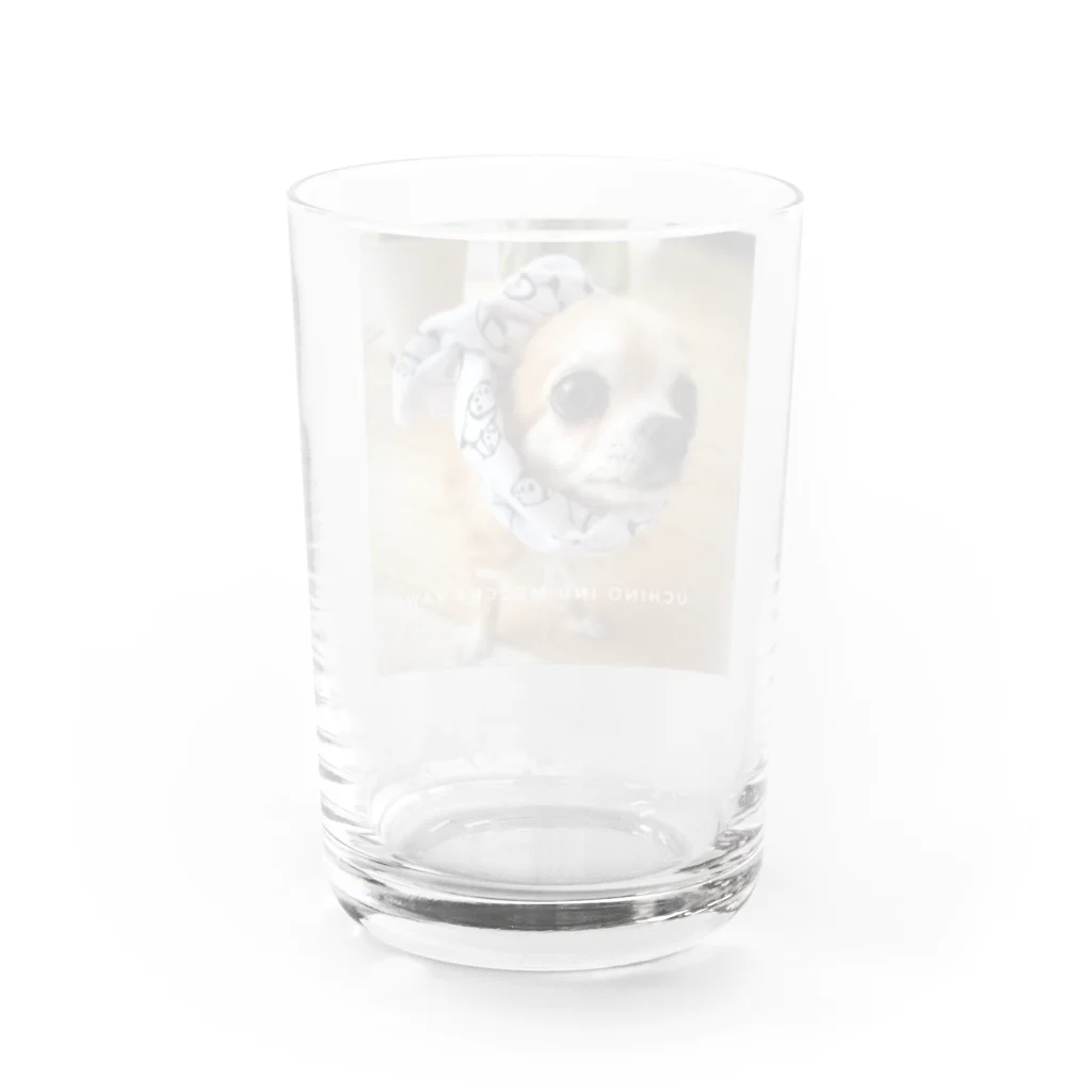 いぬさん、ねこさん、よろこんで！のuchino シリーズ　（おいぬさま） Water Glass :back