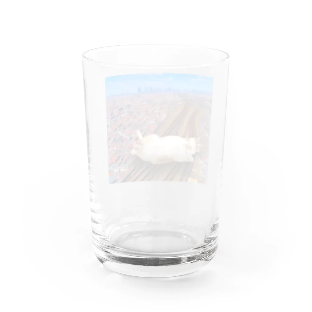 hashiba_のでっかいネコ Water Glass :back