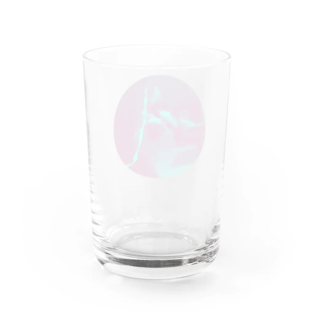 jenjenの強面のねこ　チビゴン　その3 Water Glass :back