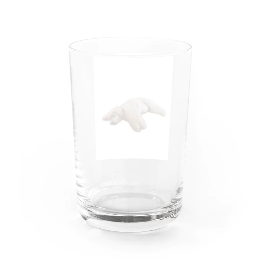 山のくまの犬が落ちてる Water Glass :back