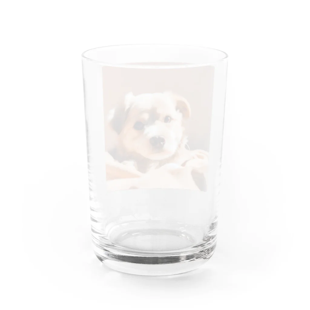 TigerSharkの太郎くん Water Glass :back