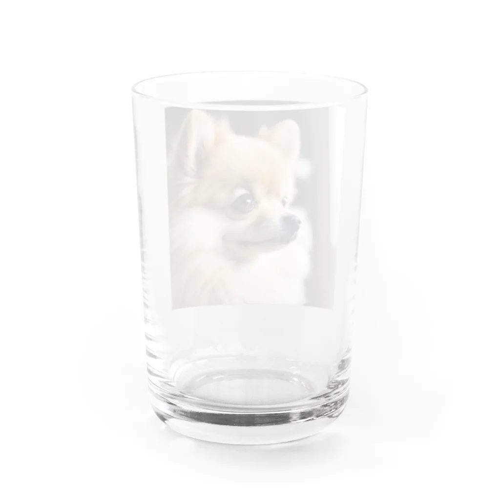 どうぶつ王国の激かわポメ Water Glass :back