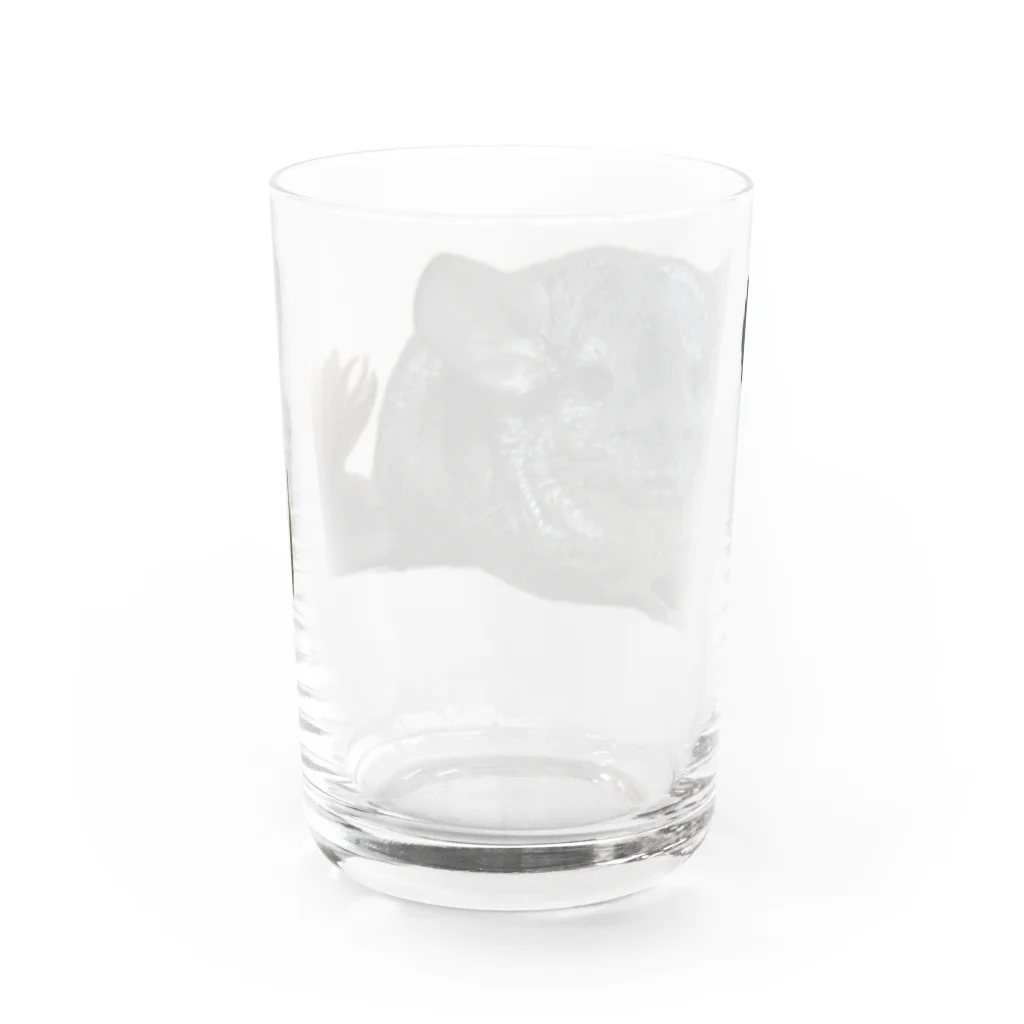 動物クラブのチンチラグッズ Water Glass :back