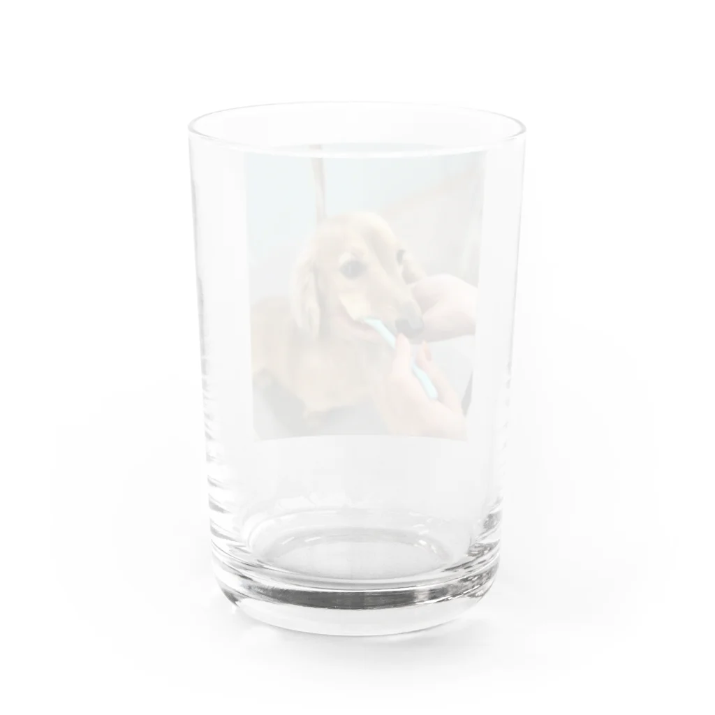 スナック まつげのカニンヘンダックスの歯磨き Water Glass :back