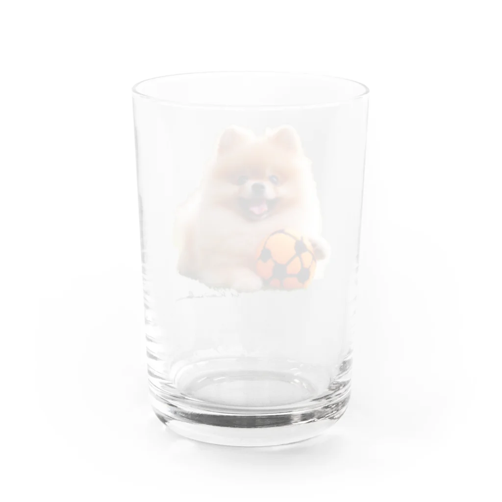 Dog_4_ALLのポムちゃん_３ グラス反対面