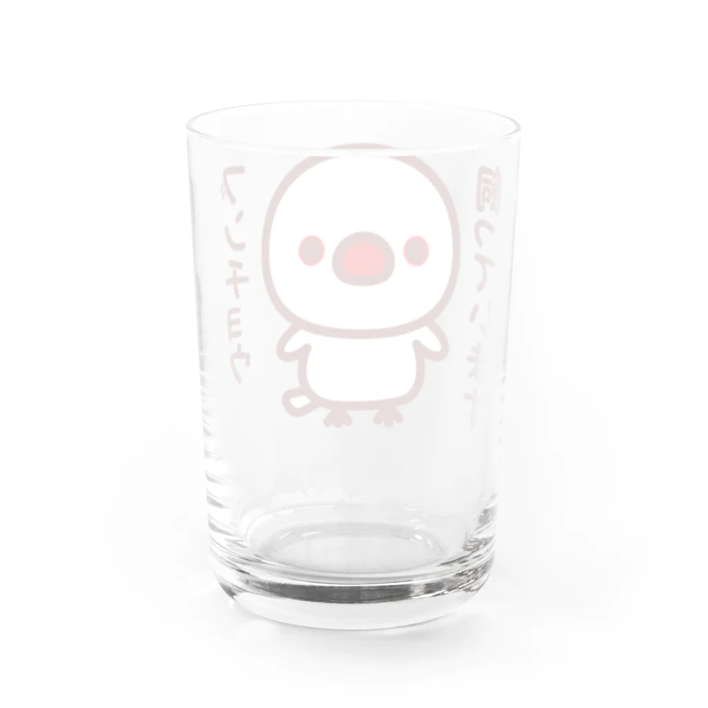 いんこ屋堂のブンチョウ飼っています（白文鳥） Water Glass :back