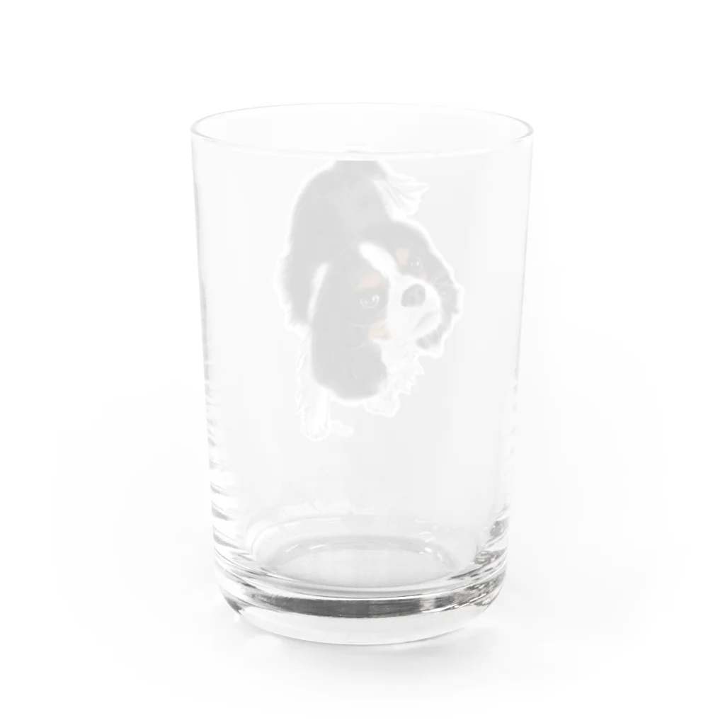 Shimiyasuのキャバリア№01 トライカラー Water Glass :back