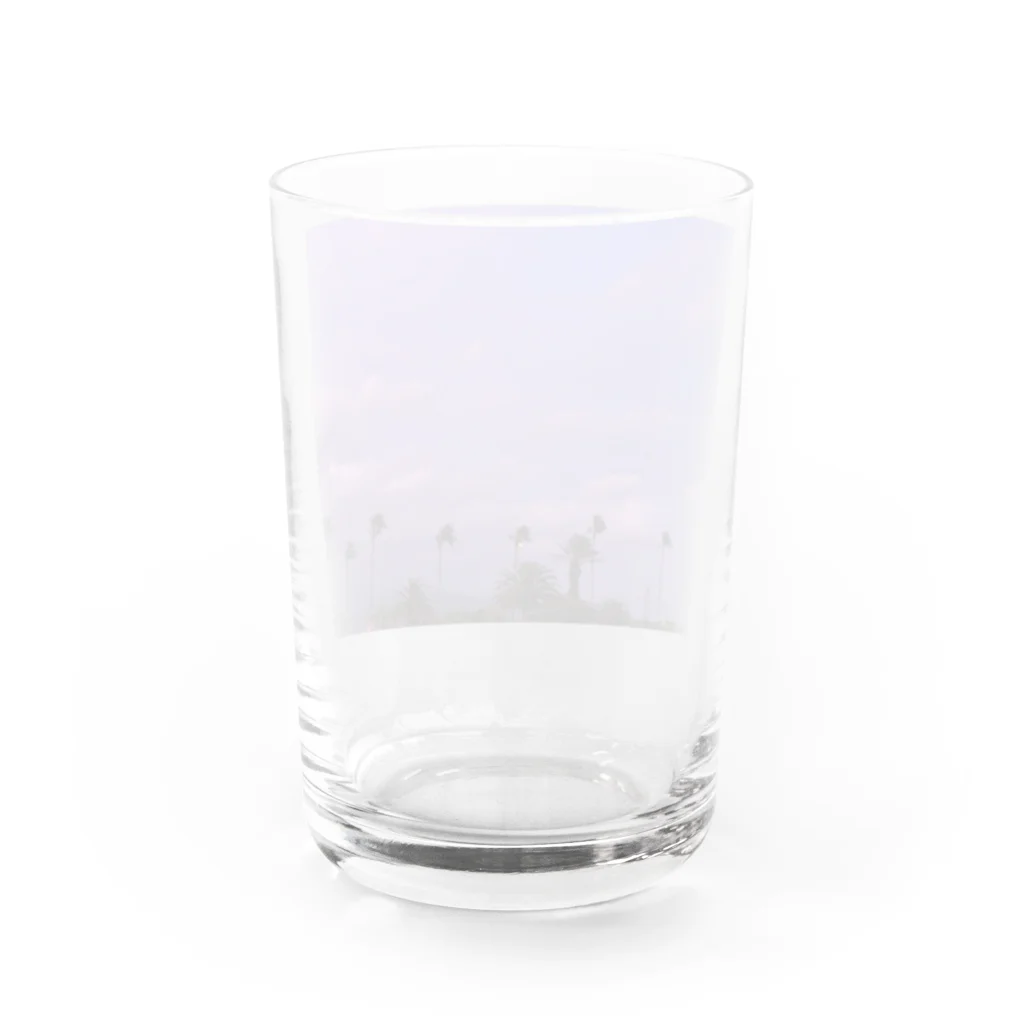 玉手箱の南国の冬空 Water Glass :back