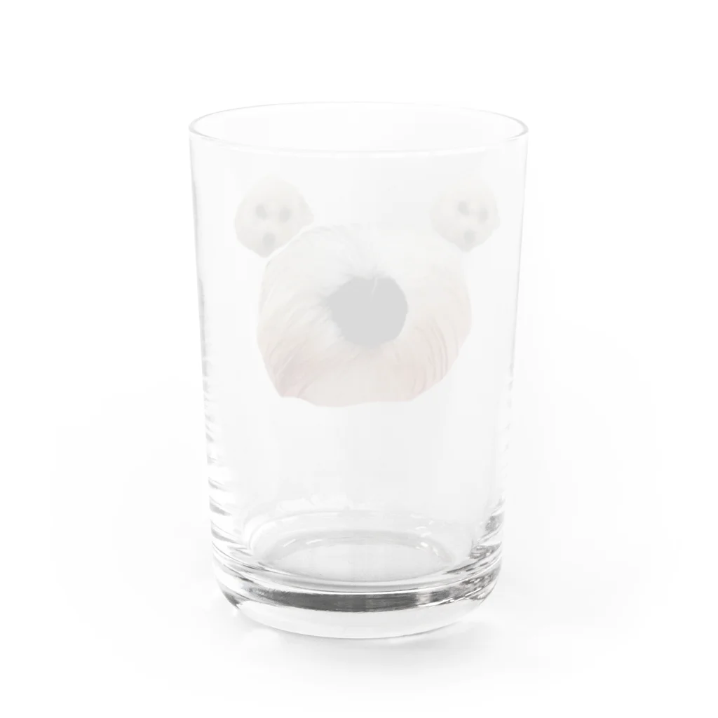 FUJIMARU's × NECODOMOのふじまる Water Glass :back