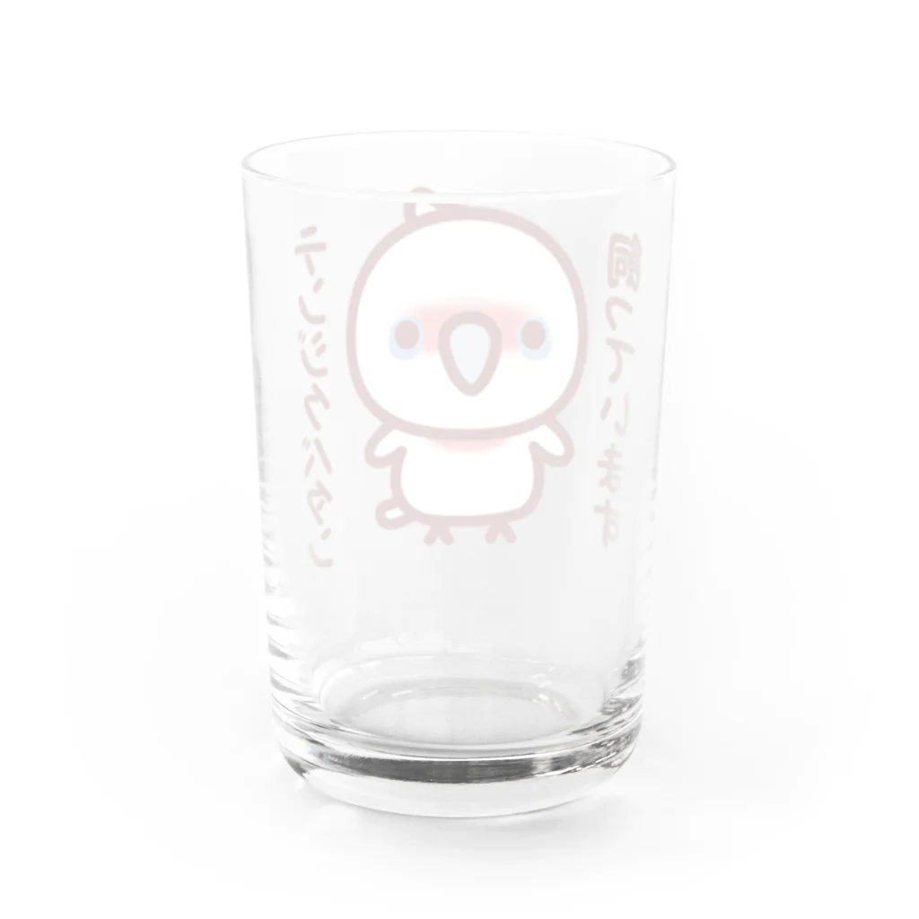 いんこ屋堂のテンジクバタン飼っています Water Glass :back