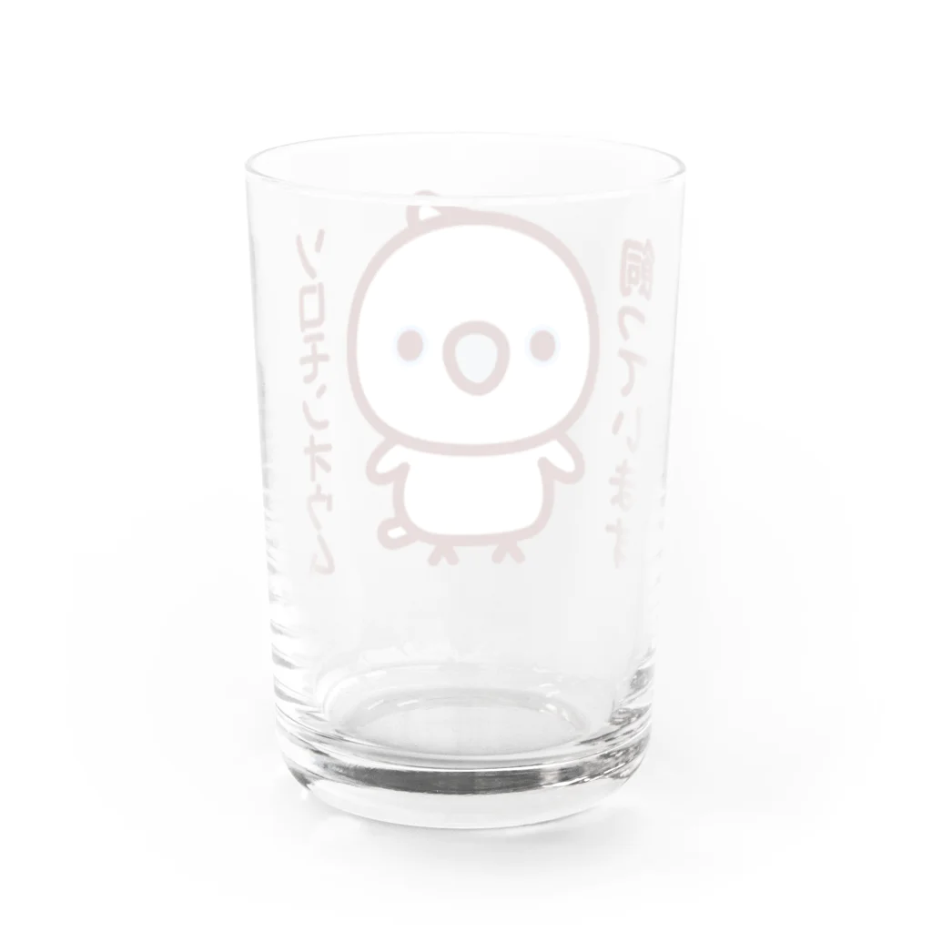 いんこ屋堂のソロモンオウム飼っています Water Glass :back