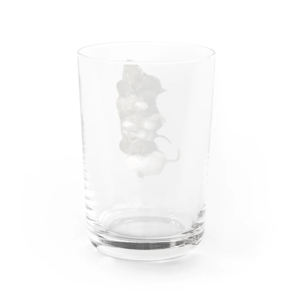 アニマルTAILのデグー兄弟 Water Glass :back