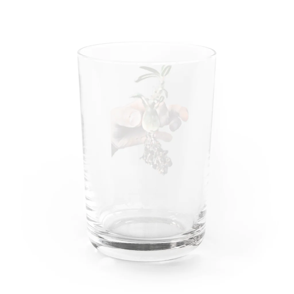 mkt8404のブラータベビー Water Glass :back