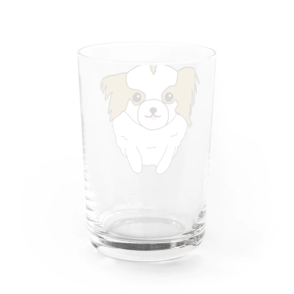 ハニーミルクのパピヨン Water Glass :back