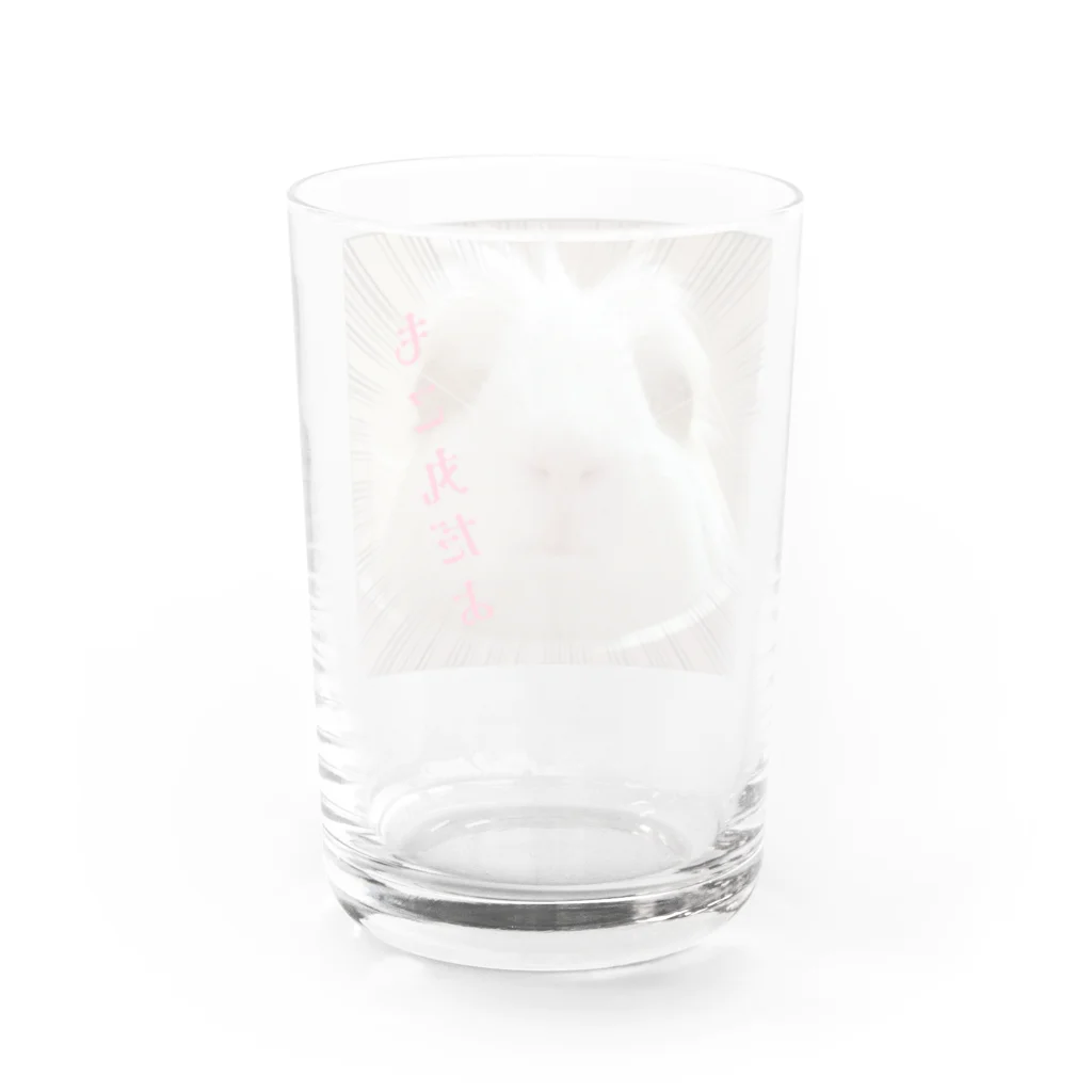 モルモットのもこ丸のモルモットのもこ丸 Water Glass :back