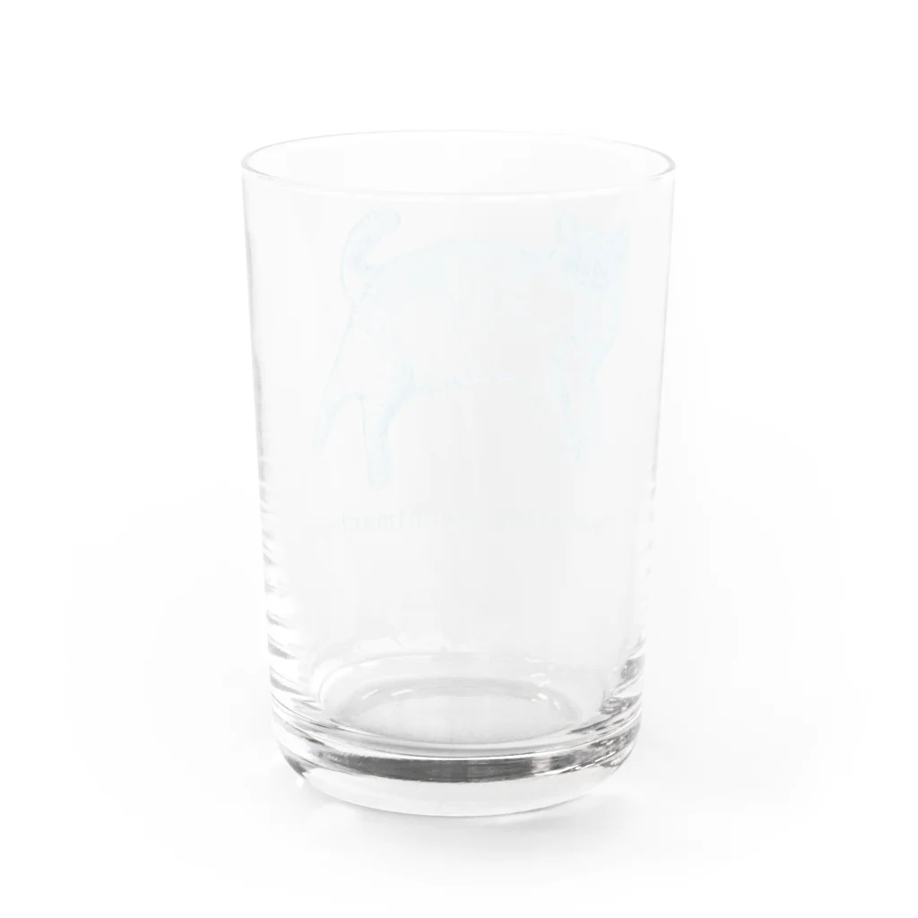 ペッチャリーノ・ヘチマチョフのネコ (blue) Water Glass :back