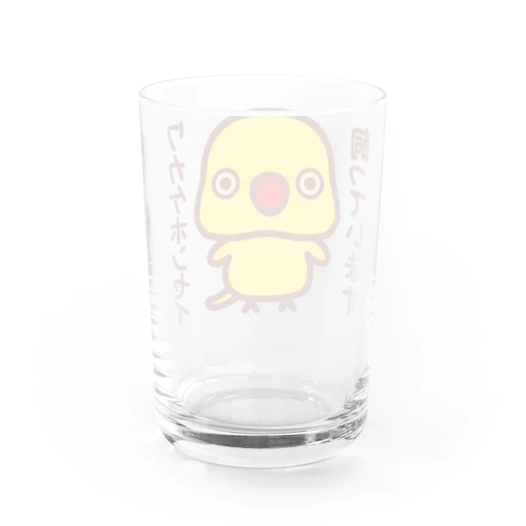 いんこ屋堂のワカケホンセイインコ飼っています（ルチノー/メス） Water Glass :back