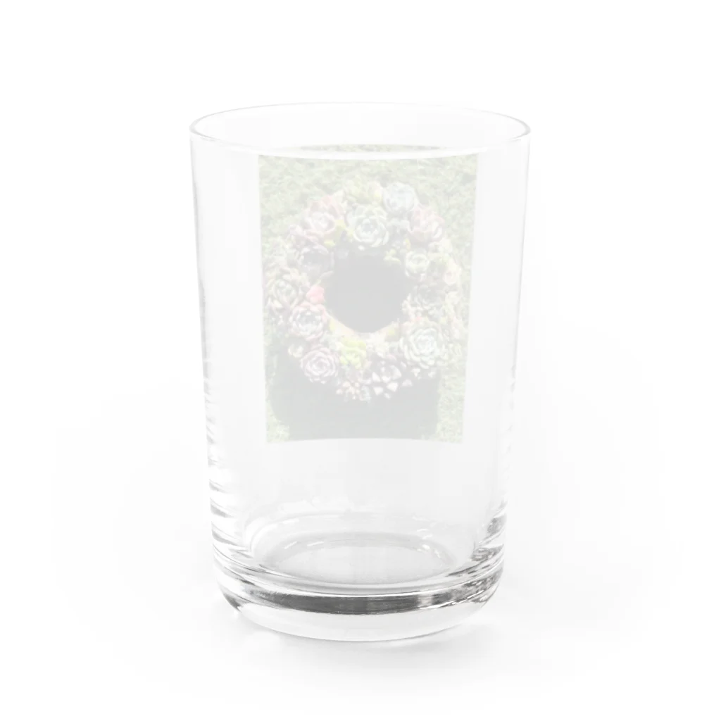 Echeveria_Masterの多肉のリースちゃん♡ Water Glass :back