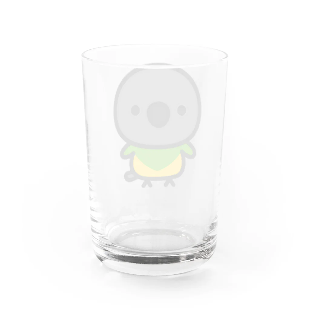 いんこ屋堂のネズミガシラハネナガインコ Water Glass :back